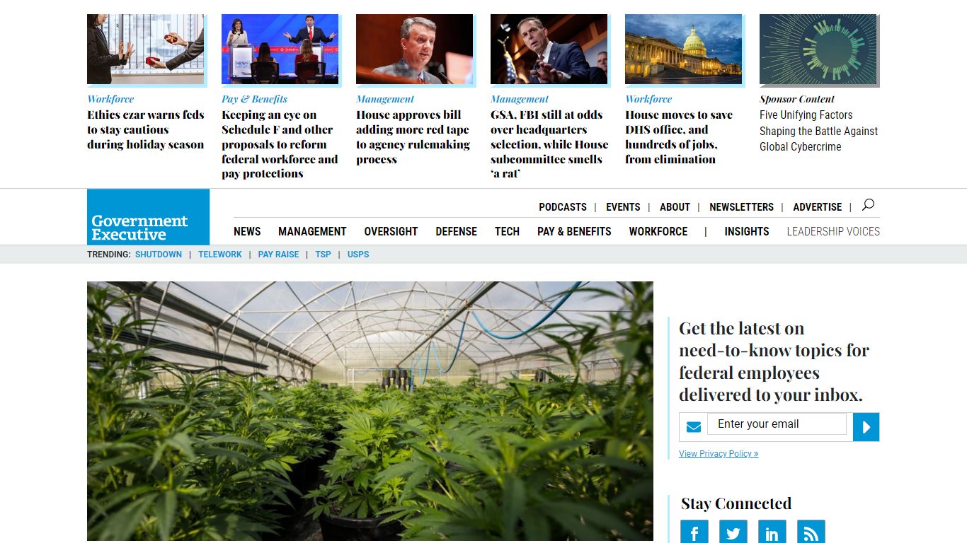 Marijuana Use Can Still Be a Problem for Security Clearance Applicants